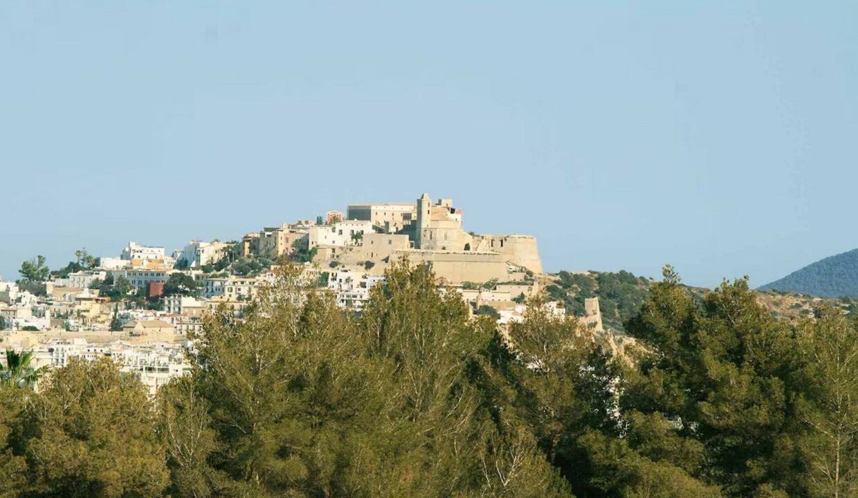 Image00010